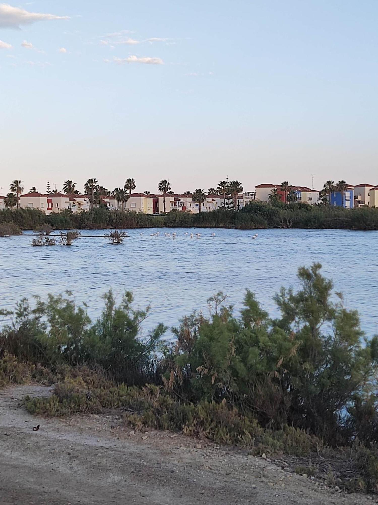 El Mirador De Torremari - Nudista - Vera Playa Exterior foto